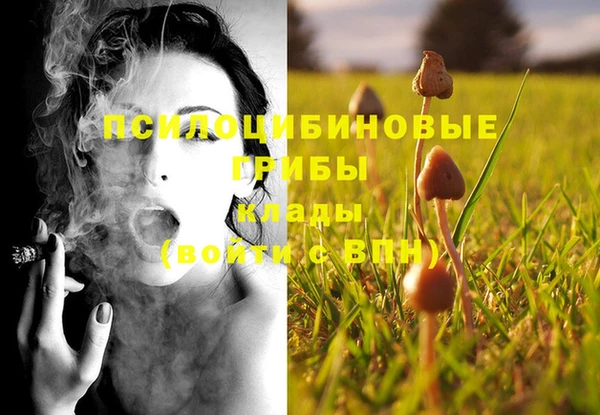 бутират Алексеевка
